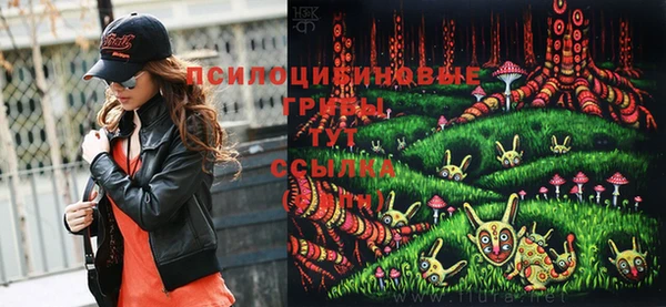 мдпв Заводоуковск