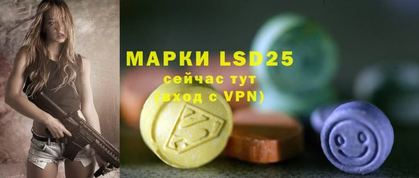 мдпв Заводоуковск