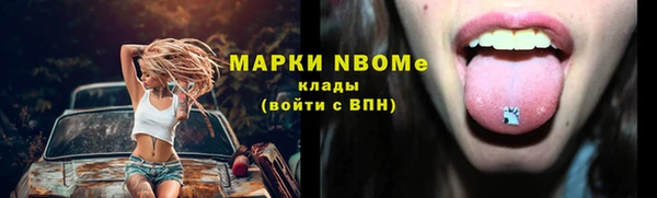 мдпв Заводоуковск