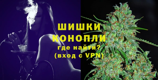 мдпв Заводоуковск