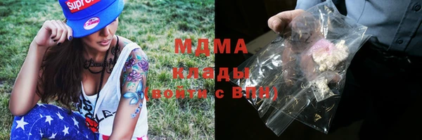 мдпв Заводоуковск