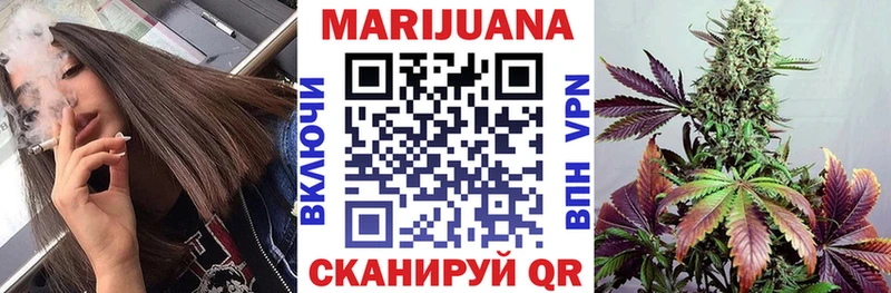 Купить где  Находка  Конопля индика 